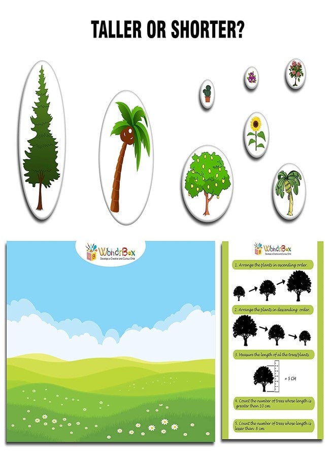 WONDRBOX Activity Kit Dr. APJ Abdul Kalam (Garden Explorers-6) - Image 5